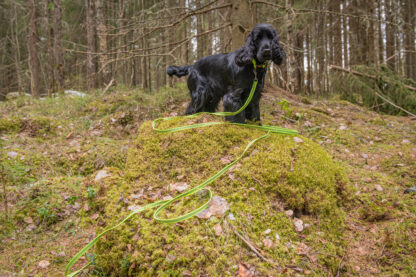 Rukka Grip Tracking hundkoppel - gul - Bild 5