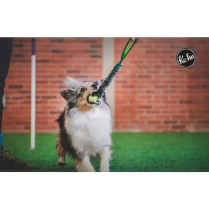 Ke-hu Tennis hundleksak - Bild 2