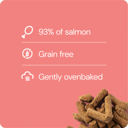 Rauh Salmon treat - 100g - Bild 2